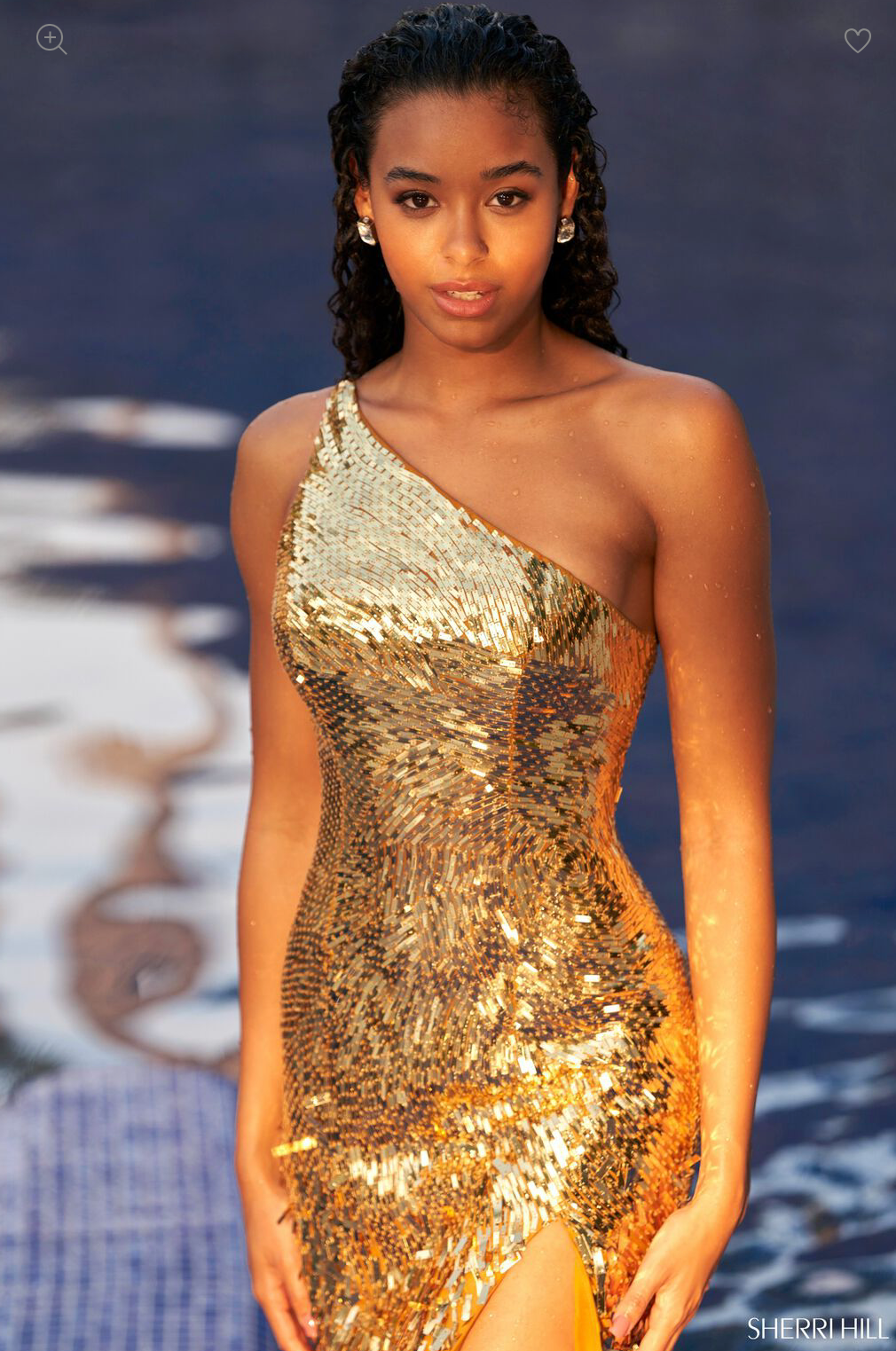 SHERRI HILL 54987