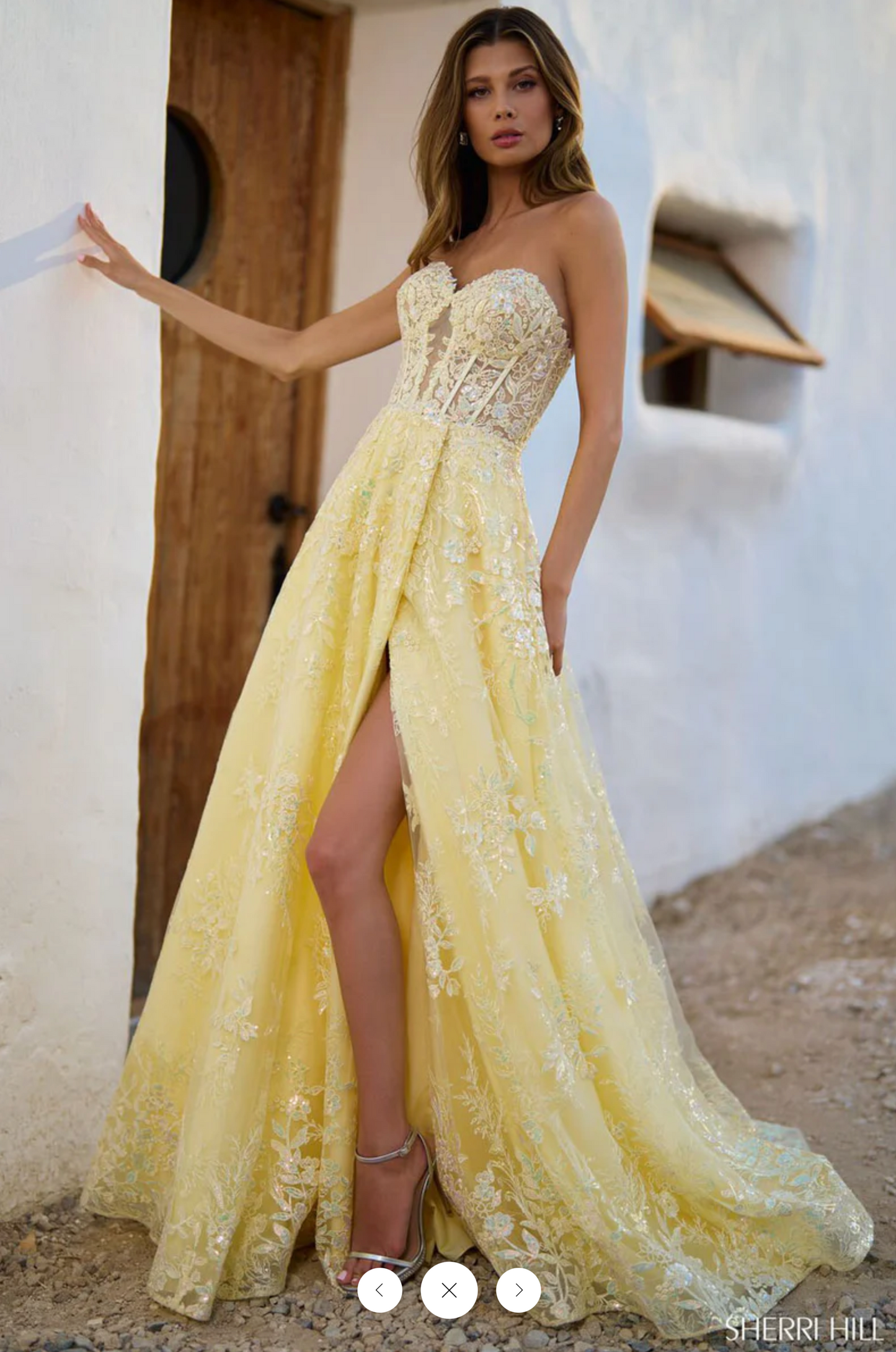 SHERRI HILL 56577