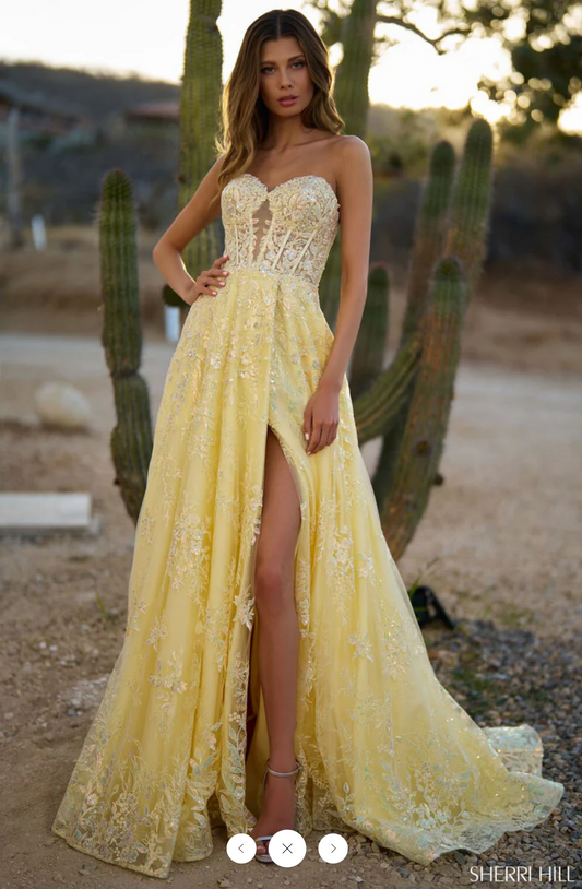 SHERRI HILL 56577