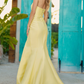 SHERRI HILL 51671