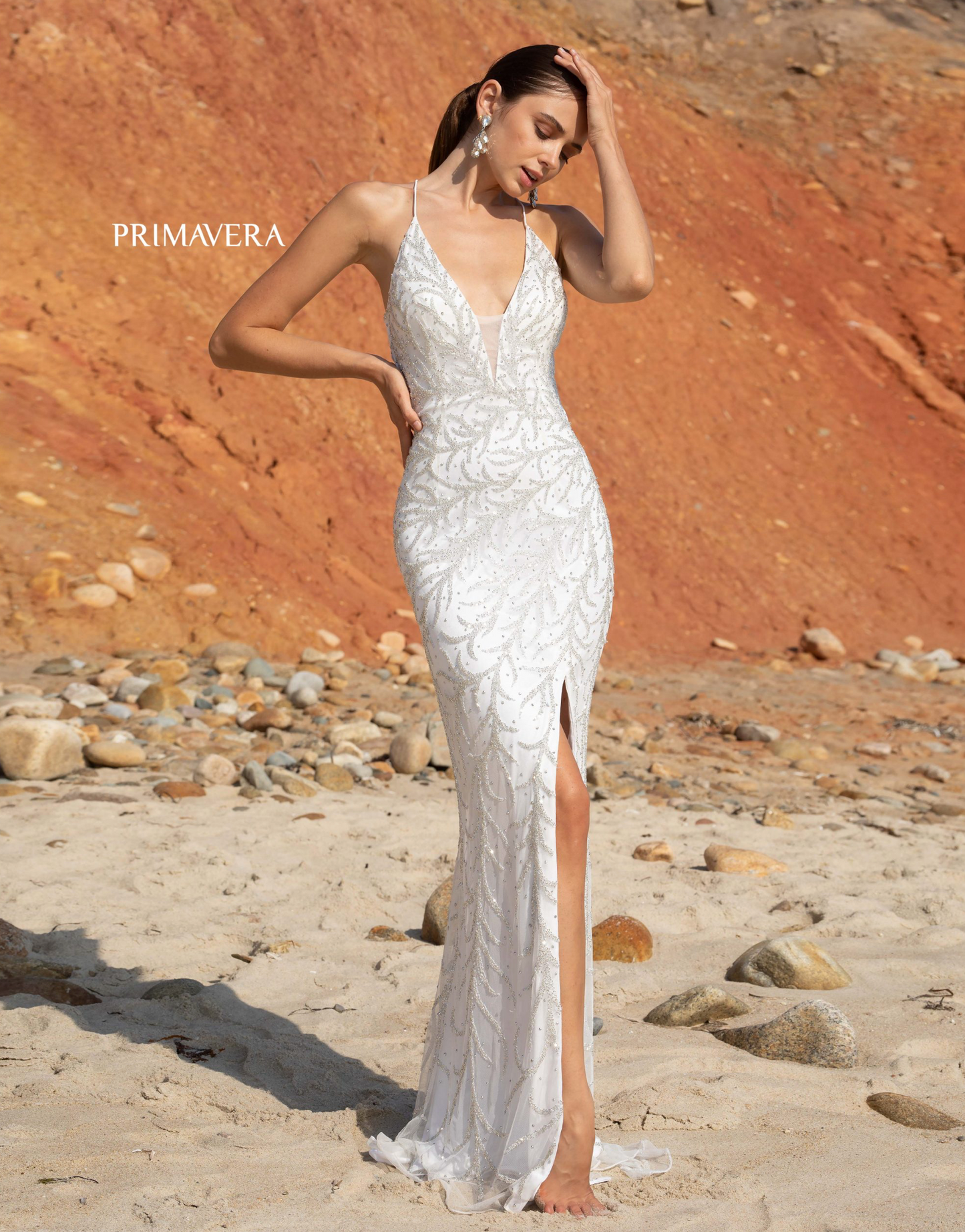 PRIMAVERA 3636