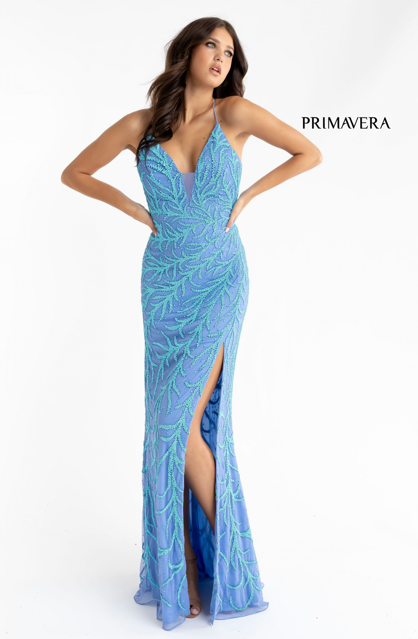PRIMAVERA 3636