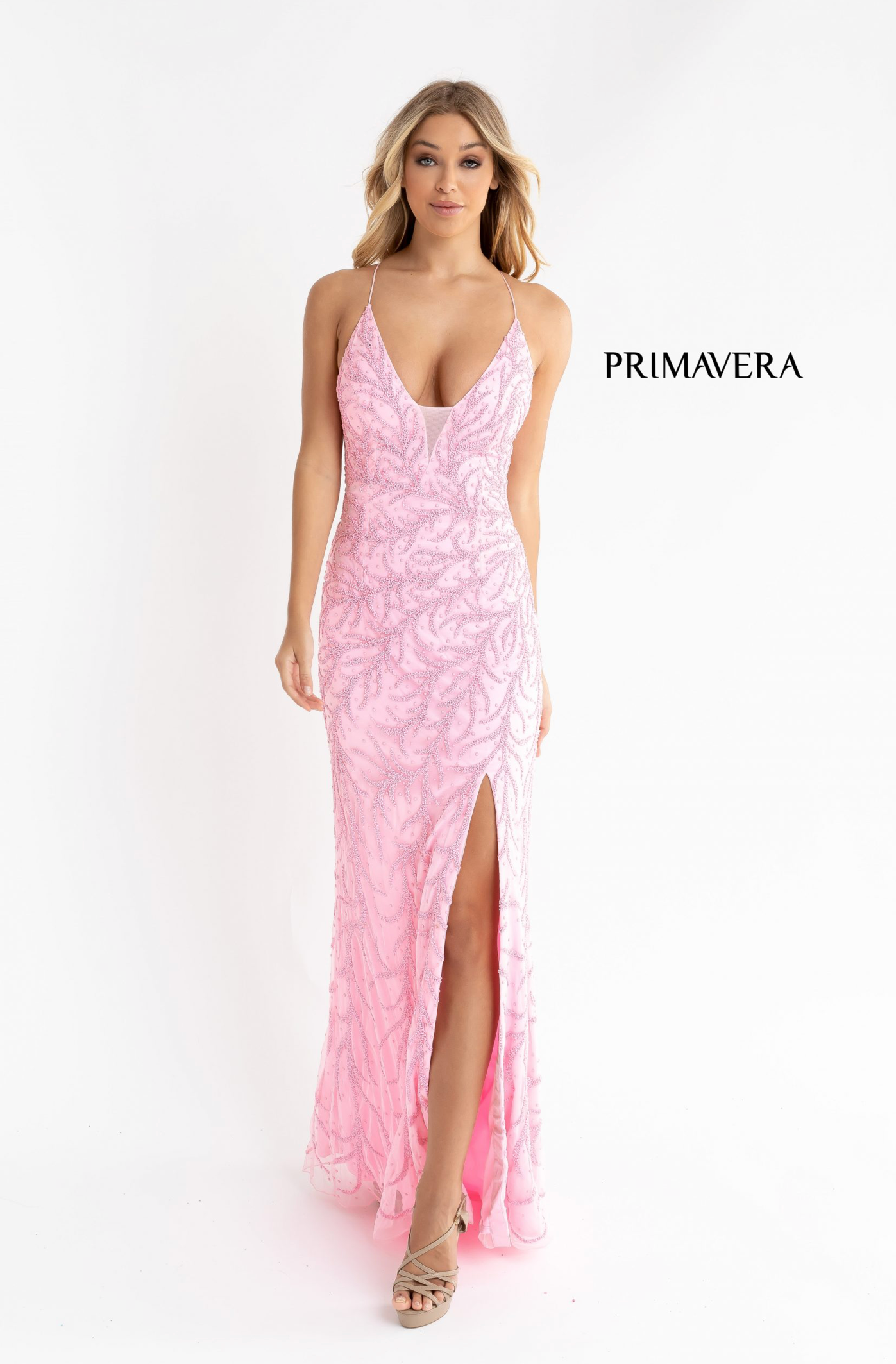PRIMAVERA 3636