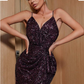 SARA DRESS