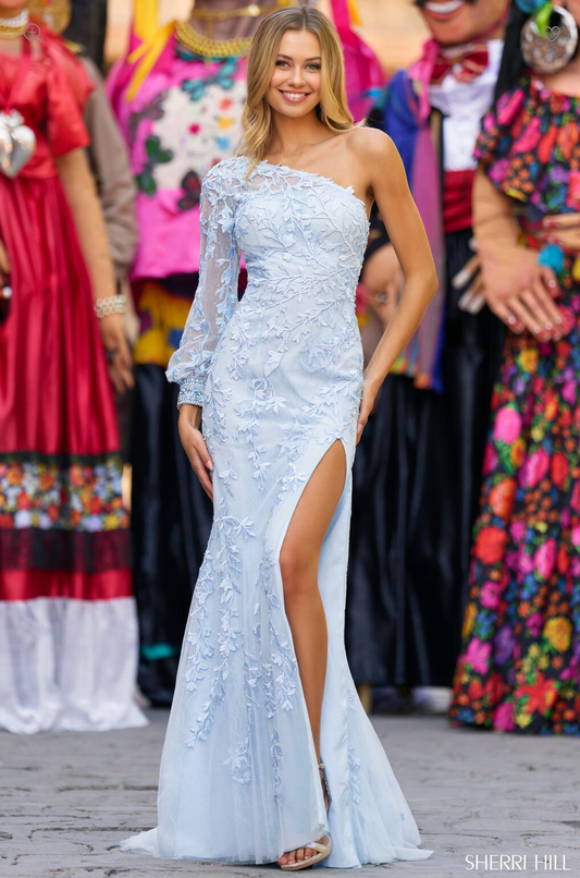 SHERRI HILL 55330